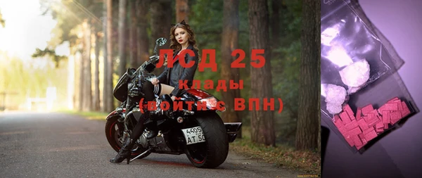 ГАЛЛЮЦИНОГЕННЫЕ ГРИБЫ Наволоки