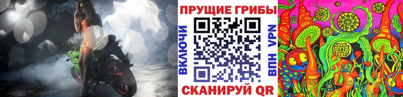 кракен вход  Елизаветинская  Псилоцибиновые грибы GOLDEN TEACHER  наркота 